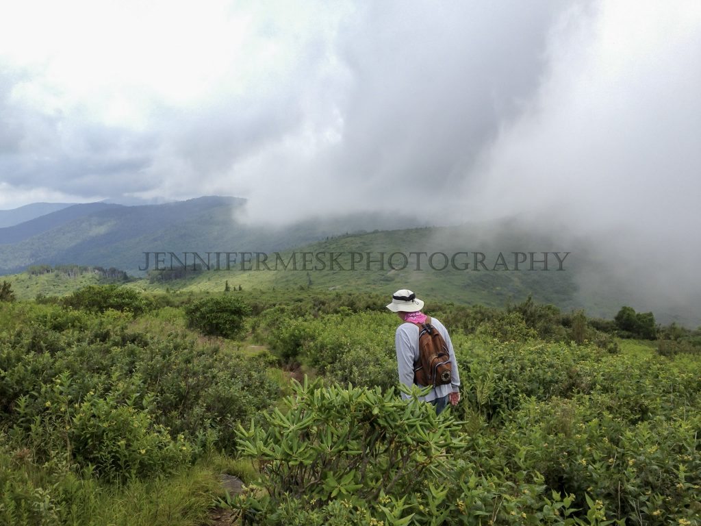 "Black Balsam Knob - Blue Ridge Parkway" by Jennifer Mesk Photography