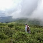 "Black Balsam Knob - Blue Ridge Parkway" by Jennifer Mesk Photography
