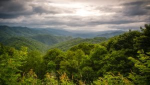 "Mountain View Near Cherokee NC" by Terry Barnes