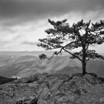 "Raven’s Roost Overlook B&W" by Chris Tennant