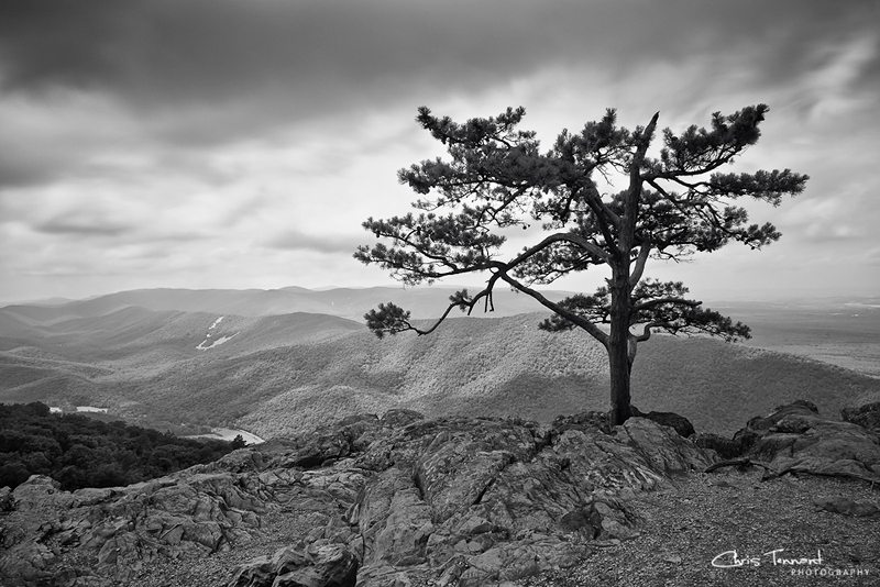 "Raven’s Roost Overlook B&W" by Chris Tennant