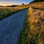 "Fields at Moses Cone" by Victor Ellison Fine Art Photography
