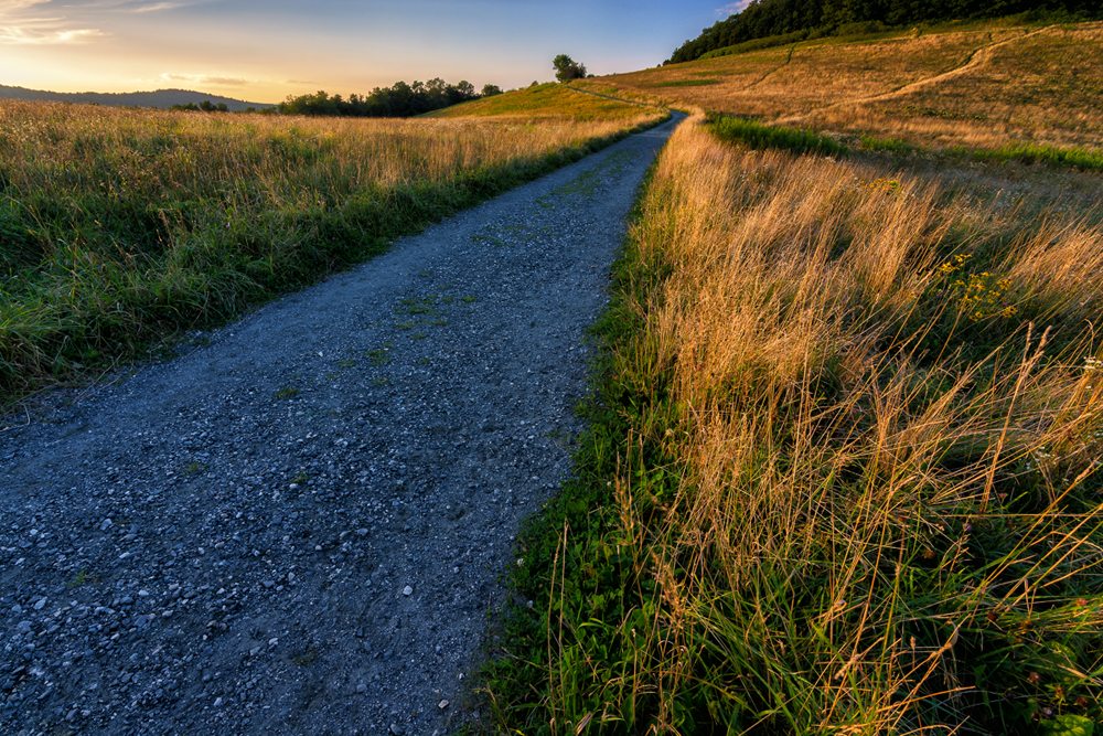 "Fields at Moses Cone" by Victor Ellison Fine Art Photography