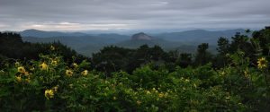 "Looking Glass Rock Overlook, Blue Ridge Parkway Milepost 417" by Jeff Burcher Photography