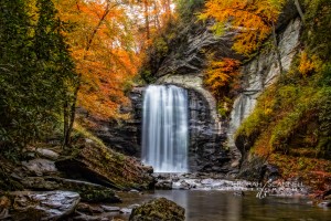 Looking Glass Falls in Autumn. Photo by Deborah Scannell Photography.