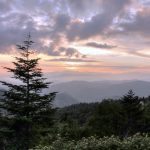 "Waterrock Knob, Milepost 455" by Susan Harris