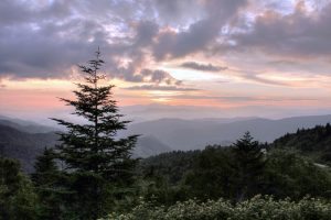 "Waterrock Knob, Milepost 455" by Susan Harris