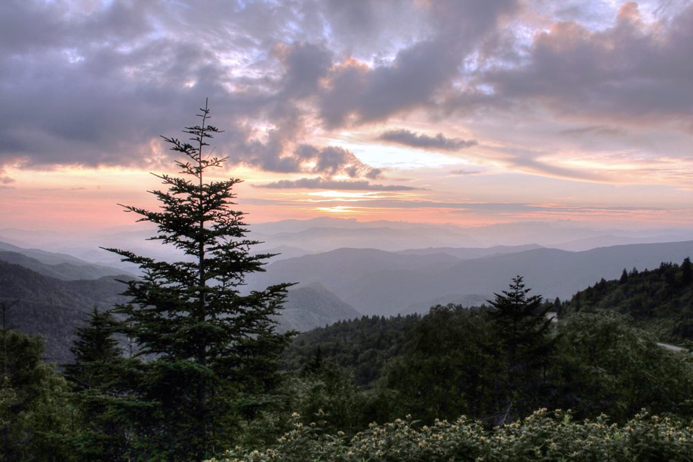 "Waterrock Knob, Milepost 455" by Susan Harris
