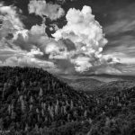 "Eagle Fork Overlook, Blue Ridge Parkway Milepost 418.0" by John MacLean Photography