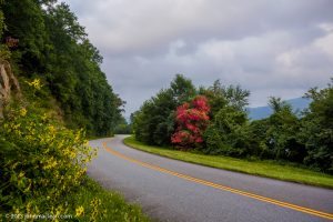 "Cove Field Overlook Blue Ridge Parkway Milepost 439.0" by John MacLean Photography