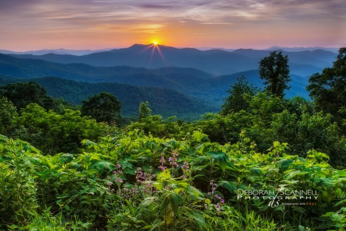 "Sunset Near View Hominy Valley Overlook" by Deborah Scannell Photography