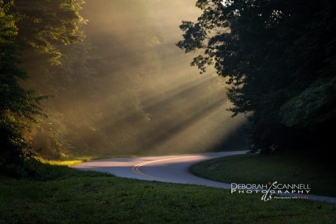 "Light Shafts at Sleepy Gap, Milepost 397.3" by Deborah Scannell Photography