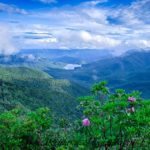 "Parkway View of the Asheville Watershed" by Jason Penland