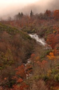 "Second Falls in Fog" by Jeff Burcher Photography