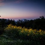 "Fork Mountain Overlook Blue Ridge Parkway Milepost 23" by Wayne Photography