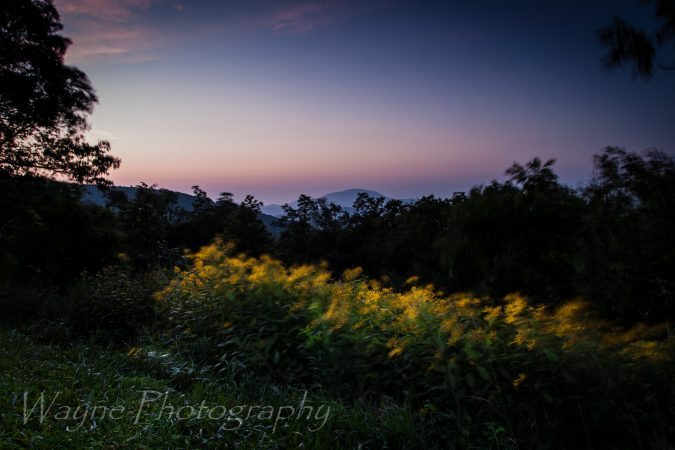 "Fork Mountain Overlook Blue Ridge Parkway Milepost 23" by Wayne Photography