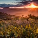 "Art Loeb Trail, Black Balsam Knob" by Rob Travis Photography