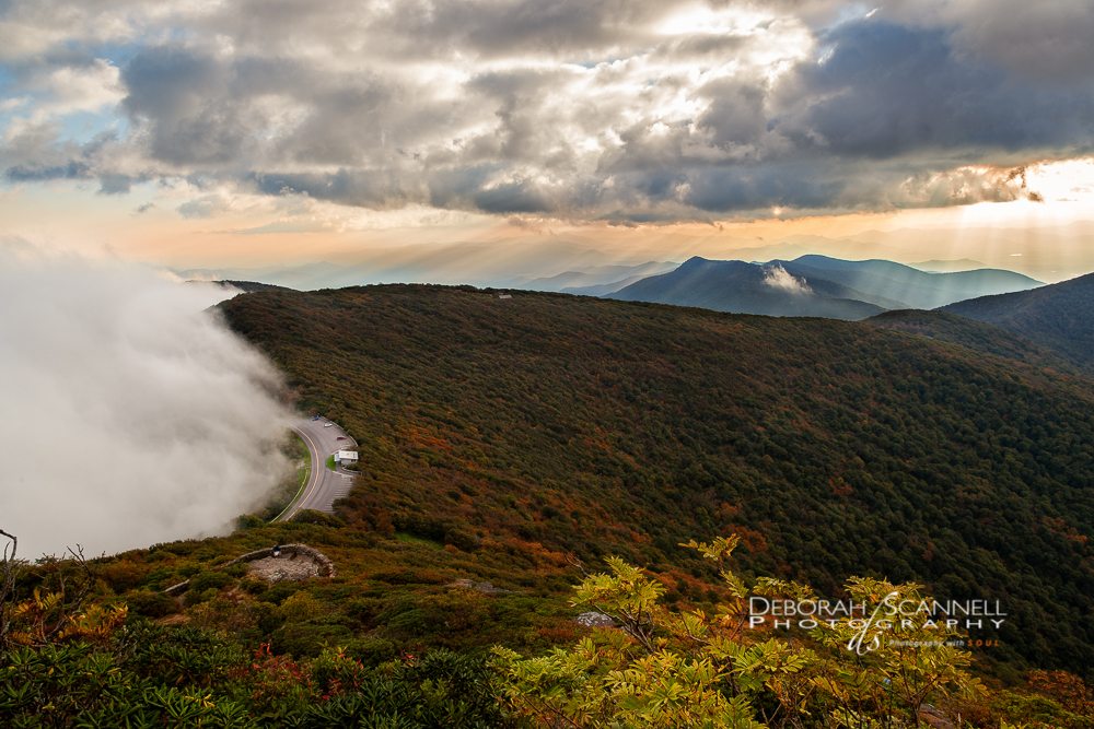 "Approaching Fog At Craggy Gardens" by Deborah Scannell Photography