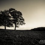 "Blue Ridge Parkway near Blowing Rock, NC" by Patrick Wolfe Photography