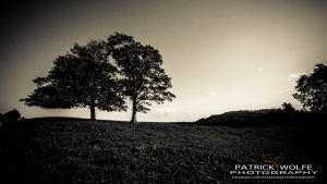 "Blue Ridge Parkway near Blowing Rock, NC" by Patrick Wolfe Photography