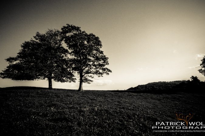 "Blue Ridge Parkway near Blowing Rock, NC" by Patrick Wolfe Photography