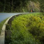 "Cycling the Parkway near Asheville" by Willis Norman Photography