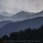 "View from Richland Balsam Trail Blue Ridge Parkway Milepost 431" by Jennifer Mesk Photography