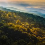 "Grandfather Mountain Blue Ridge Parkway Milepost 305" by Miles Smith