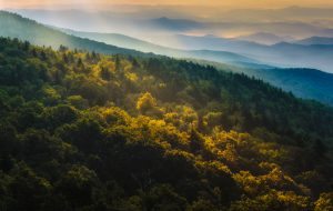 "Grandfather Mountain Blue Ridge Parkway Milepost 305" by Miles Smith