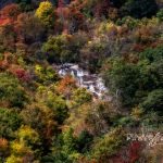 "View from Graveyard Fields Overlook, Milepost 418" by Deborah Scannell Photography