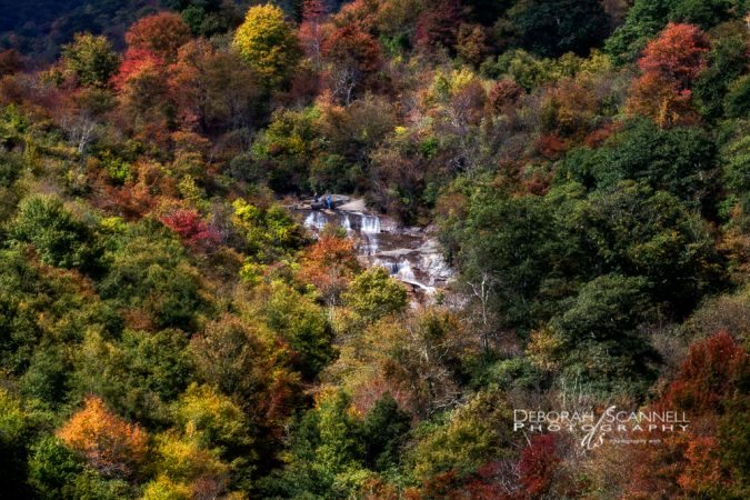 "View from Graveyard Fields Overlook, Milepost 418" by Deborah Scannell Photography