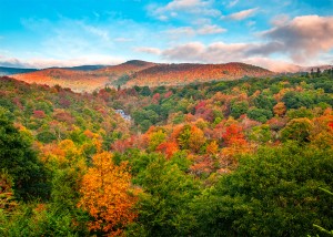 Graveyard Fields