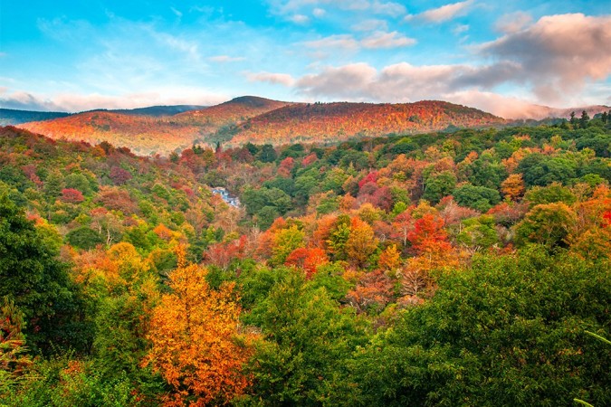 Graveyard Fields