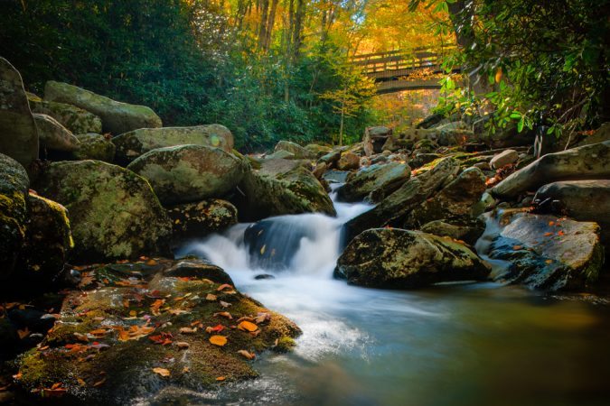 "Boone Fork Creek, Milepost 300" by Miles Smith