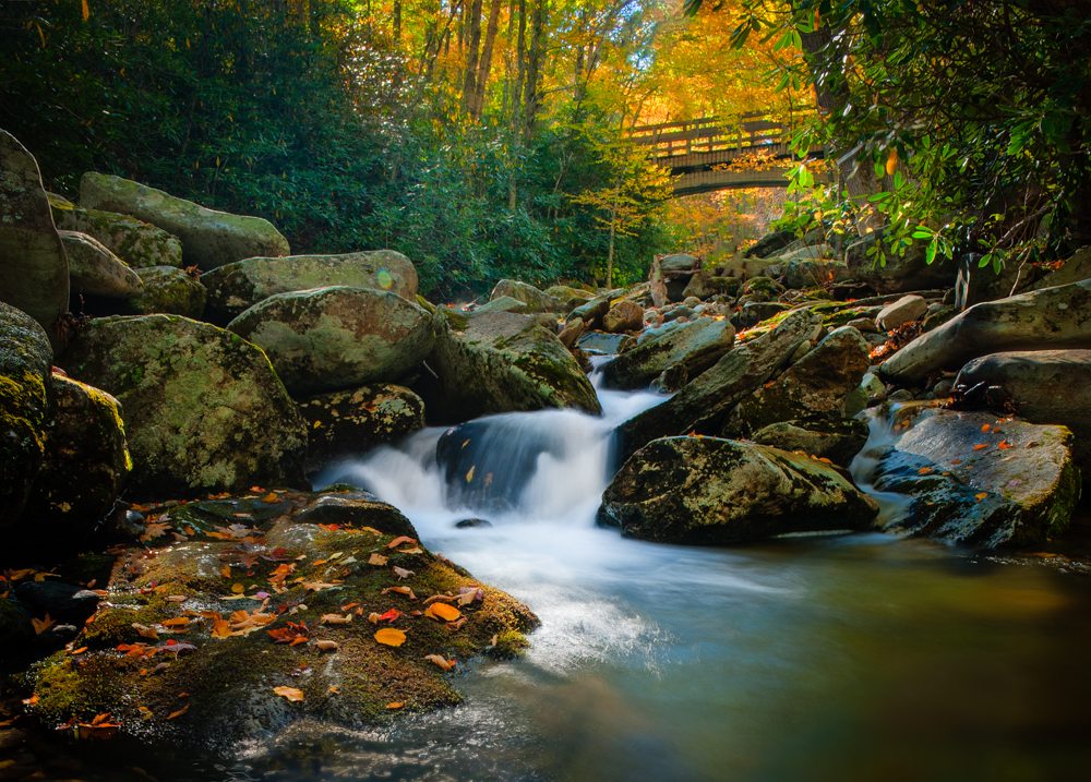 "Boone Fork Creek, Milepost 300" by Miles Smith