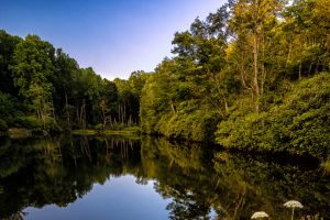 "Sim’s Pond Blue Ridge Parkway Milepost 295" by Victor Ellison Fine Art Photography