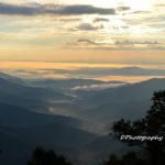 "Blue Ridges at Little Switzerland, Milepost 335" by Debi Price