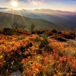 "Rough Ridge Color Milepost 303" by Victor Ellison Fine Art Photography