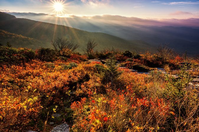 "Rough Ridge Color Milepost 303" by Victor Ellison Fine Art Photography
