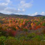 "October Afternoon at Graveyard Fields" by Kristina Plaas