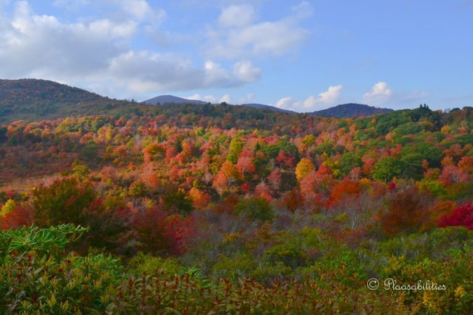 "October Afternoon at Graveyard Fields" by Kristina Plaas