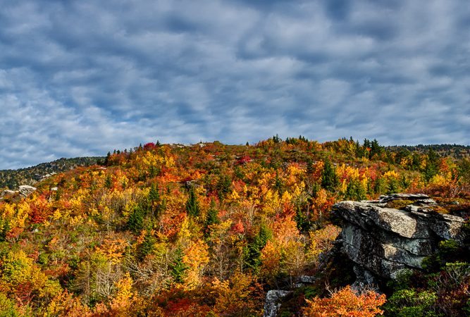 "Rough Ridge Trail" by Paul Cory Photography