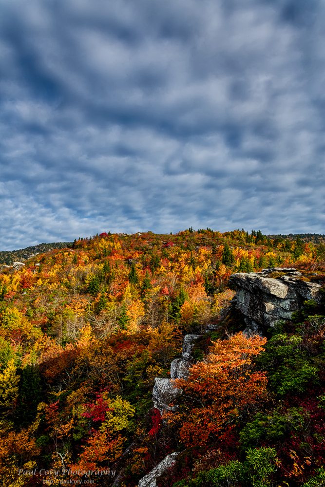 "Rough Ridge Trail" by Paul Cory Photography