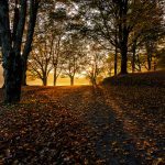 "Bass Lake Moses H. Cone Memorial Park Milepost 294" by Victor Ellison Fine Art Photography