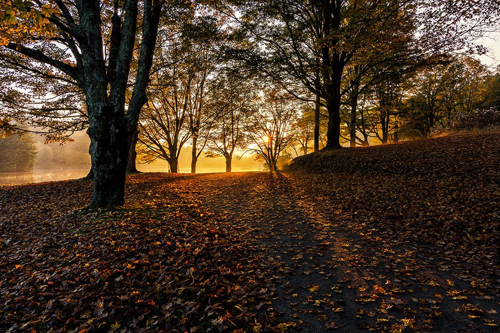 "Bass Lake Moses H. Cone Memorial Park Milepost 294" by Victor Ellison Fine Art Photography