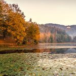 "Bass Lake at Moses H. Cone Memorial Park Milepost 294" by Victor Ellison Fine Art Photography
