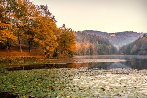 "Bass Lake at Moses H. Cone Memorial Park Milepost 294" by Victor Ellison Fine Art Photography