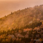 "Cowee Mountains Overlook, Milepost 430" by Regularjoe Photography