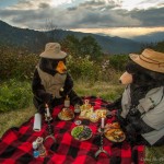 Bear Family Picnic Waterrock Knob
