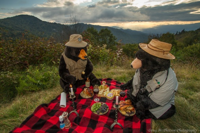 Bear Family Picnic Waterrock Knob
